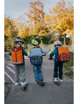 Rabauz Modul ClassMaster Niagara Universe